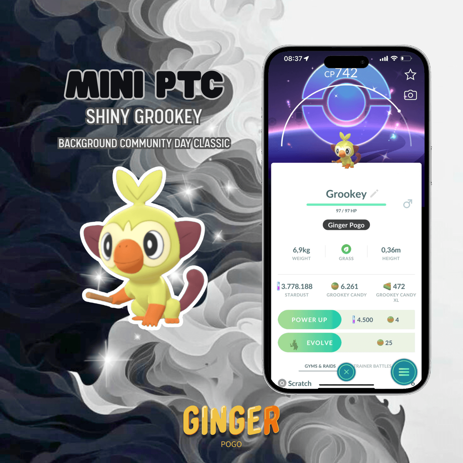 MINI PTC SHINY GROOKEY BG COMMUNITY DAY CLASSIC