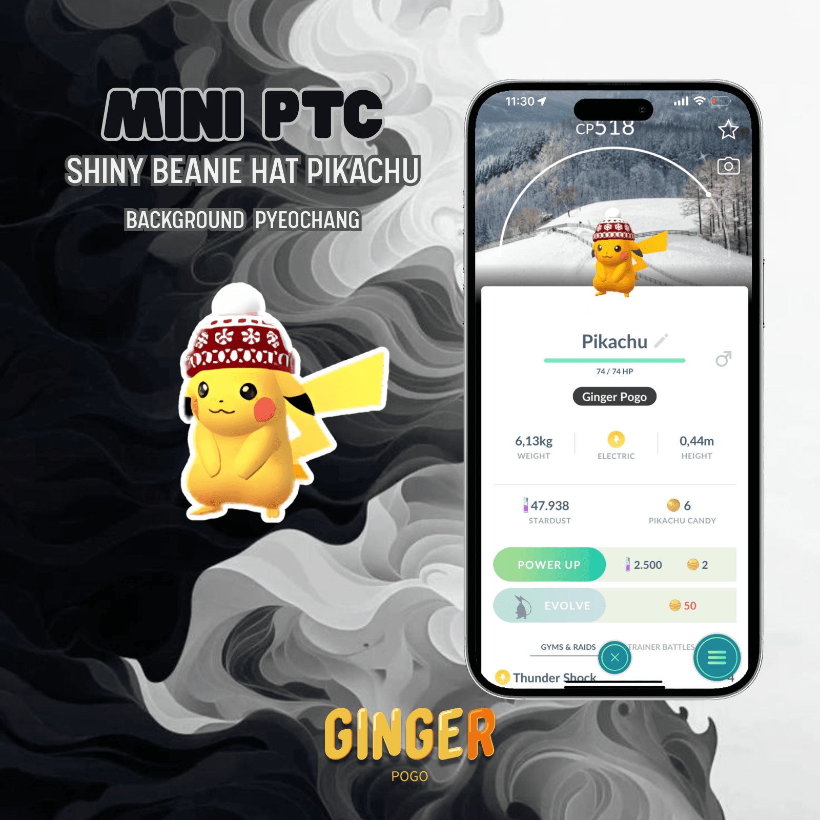 MINI PTC SHINY PIKACHU WITH BEANIE HAT BG PYEOCHANG